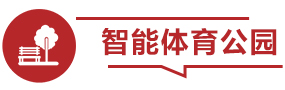 智能体育公园
